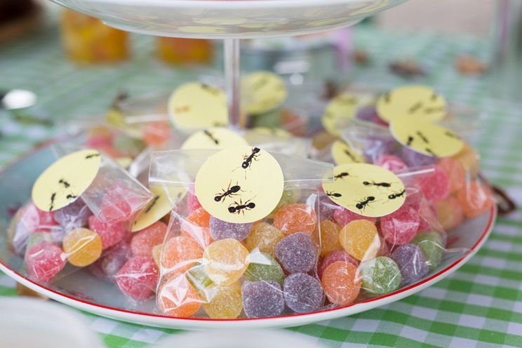 BUFFET COMPLETO DE PICNIC INFANTIL